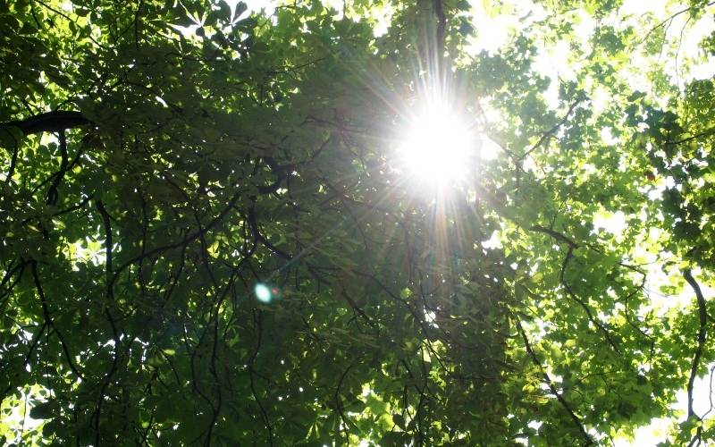 Zu viel Lärm: Beliebter Park in Soest ab sofort dicht
