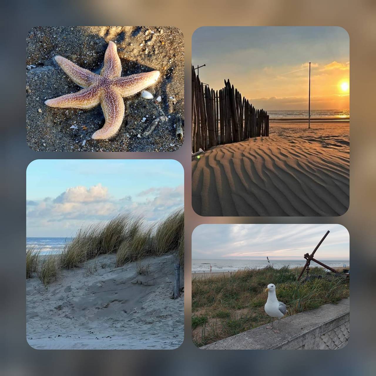 Der perfekte Schnappschuss: Das sind eure Ferien-Fotos!