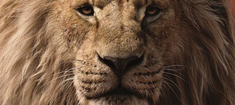 Die Hellweg Radio-(R)Auszeit Tag 11