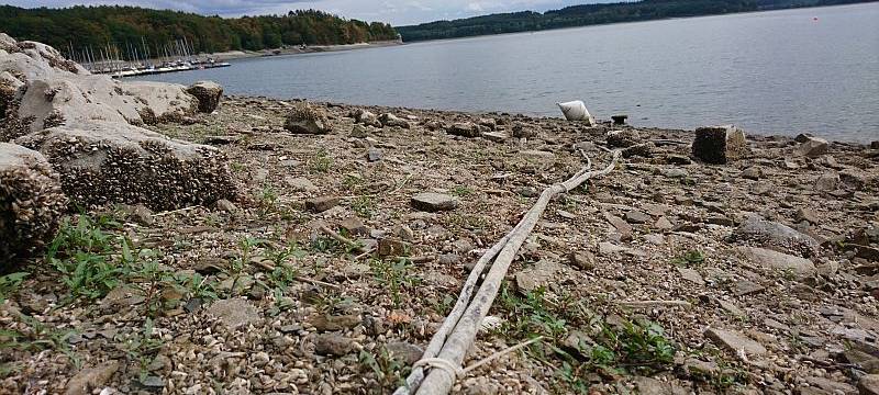 Nicht von Brücken in den Möhnesee springen
