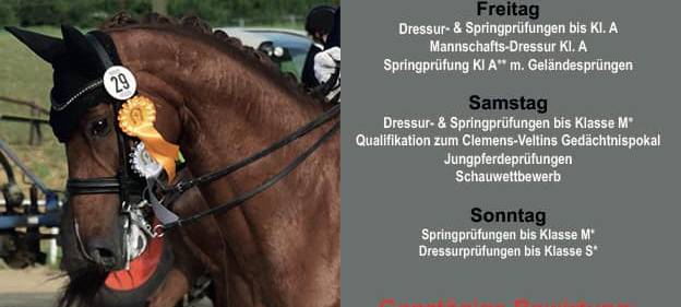 Großes Sommerturnier beim Reit- und Fahrverein Ostönnen e. V.