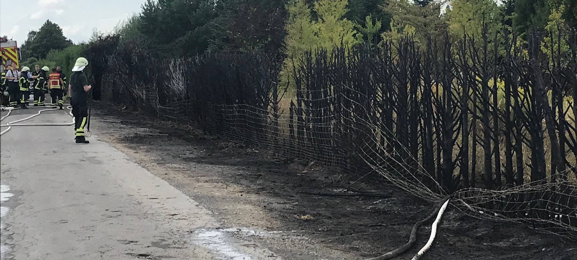 Heckenbrand in Soest