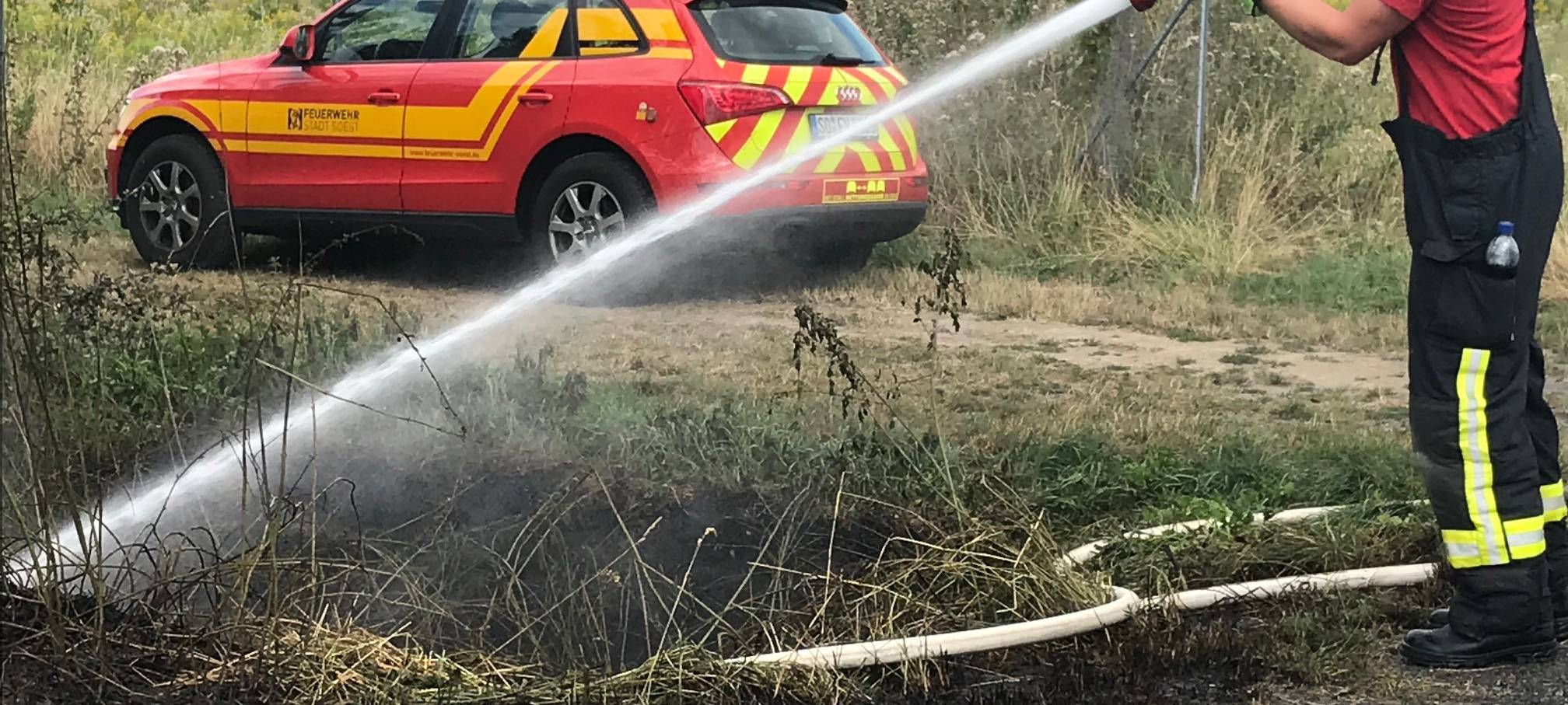 Heckenbrand in Soest