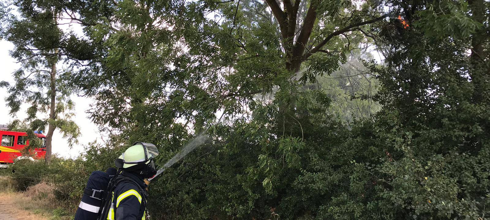 Modellflugzeug stürzt im Lippetal ab
