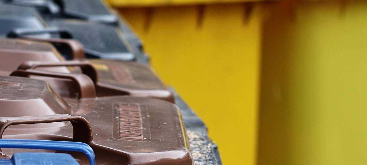 Müll-Inventur in Ense