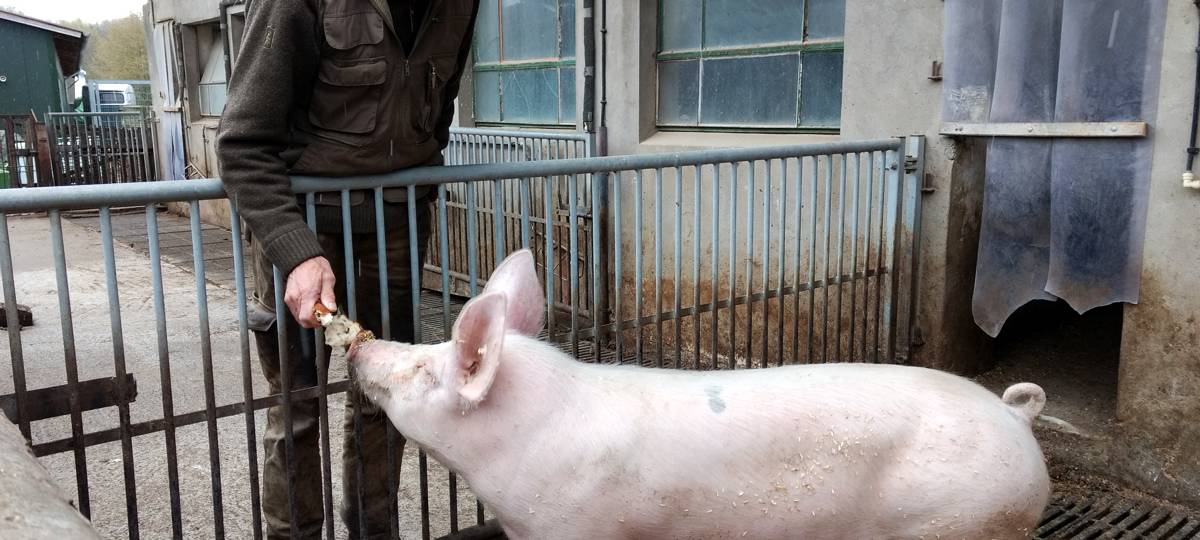 Ökologischer Landbau