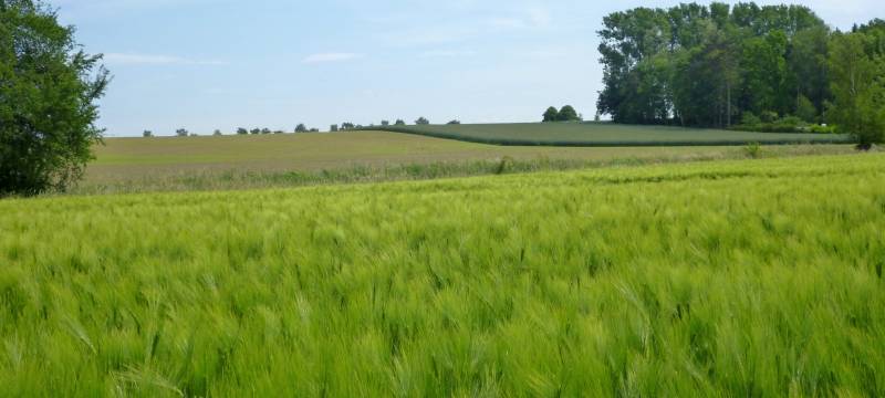 Wettbewerb "Unser Dorf hat Zukunft"