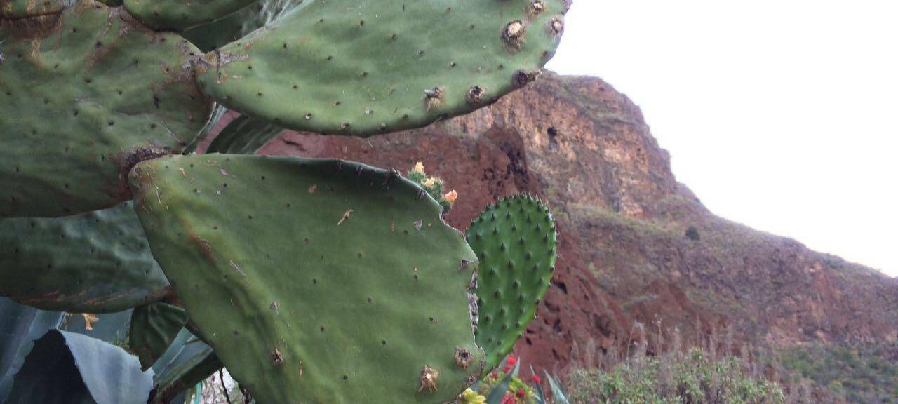 Tipps für eine lange Erholung nach dem Urlaub