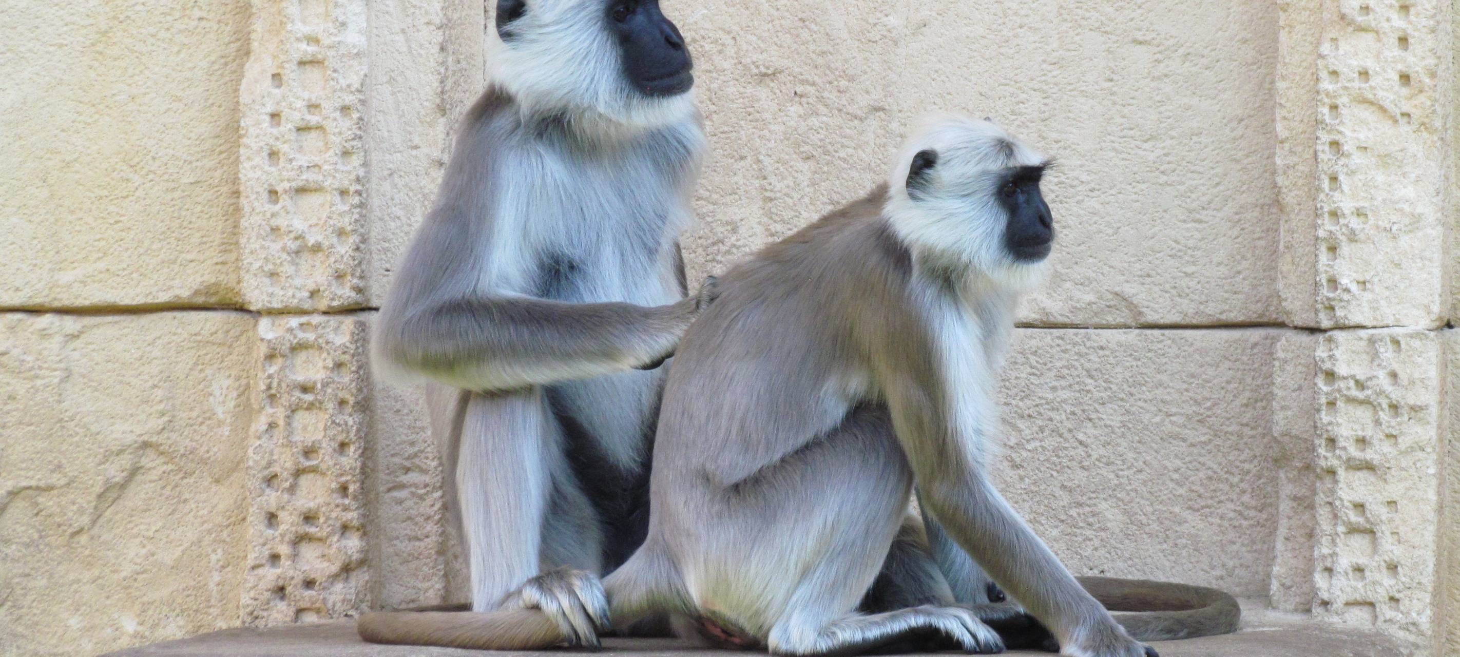 Kreis Soest spendiert Familienausflug