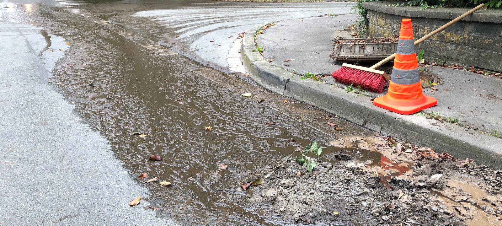 Gülleunfall in Möhnesee-Büecke