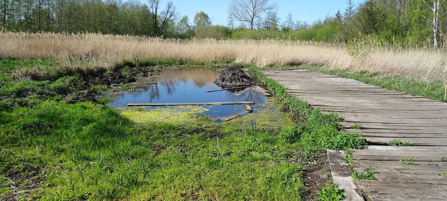 Der Muckenbruch in Bad Westernkotten
