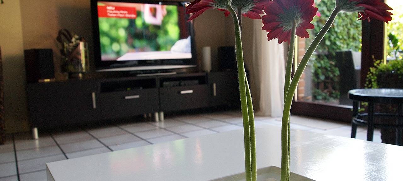 Sorge um zunehmende Wohnungslosigkeit in Soest