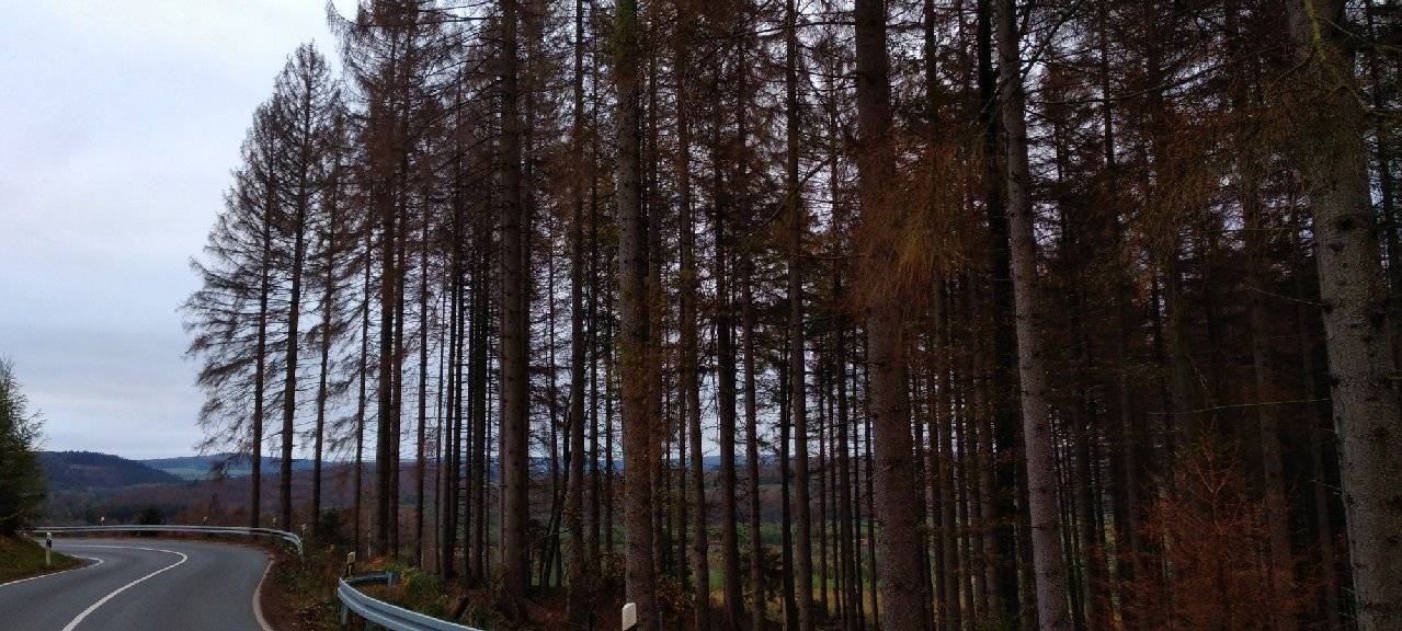 Straße zwischen Hirschberg und Niederbergheim gesperrt