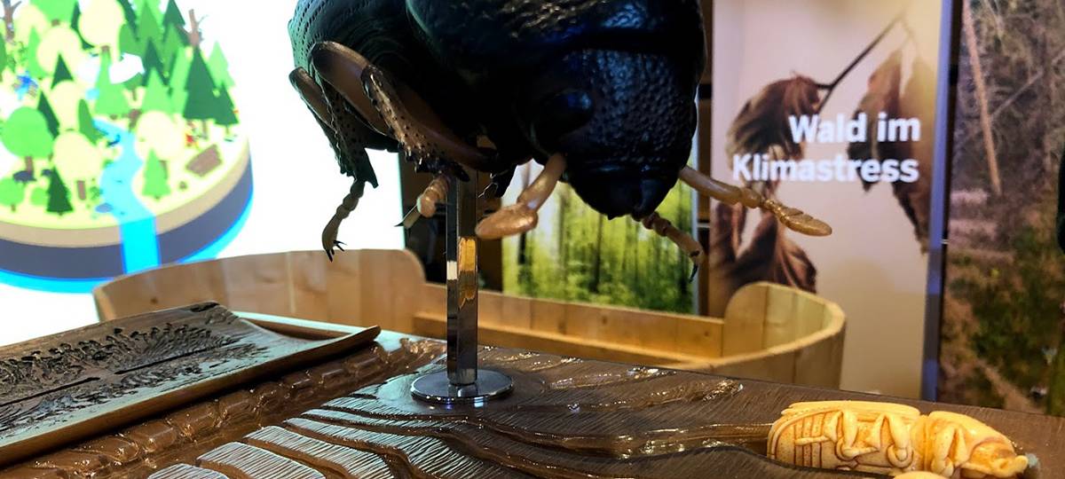 Auswirkungen des Borkenkäfers