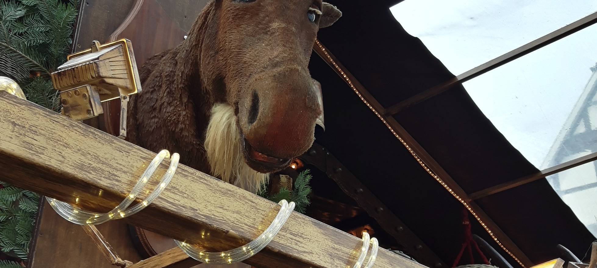 Weihnachtsmarkt lockt in Soester Altstadt