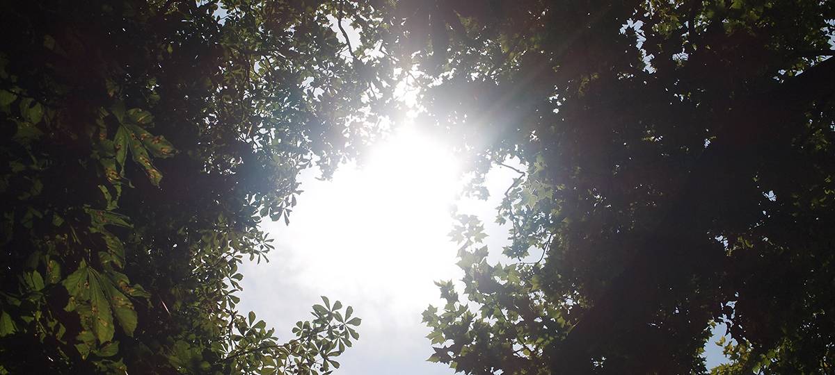 Betretungsverbote in Rüthen