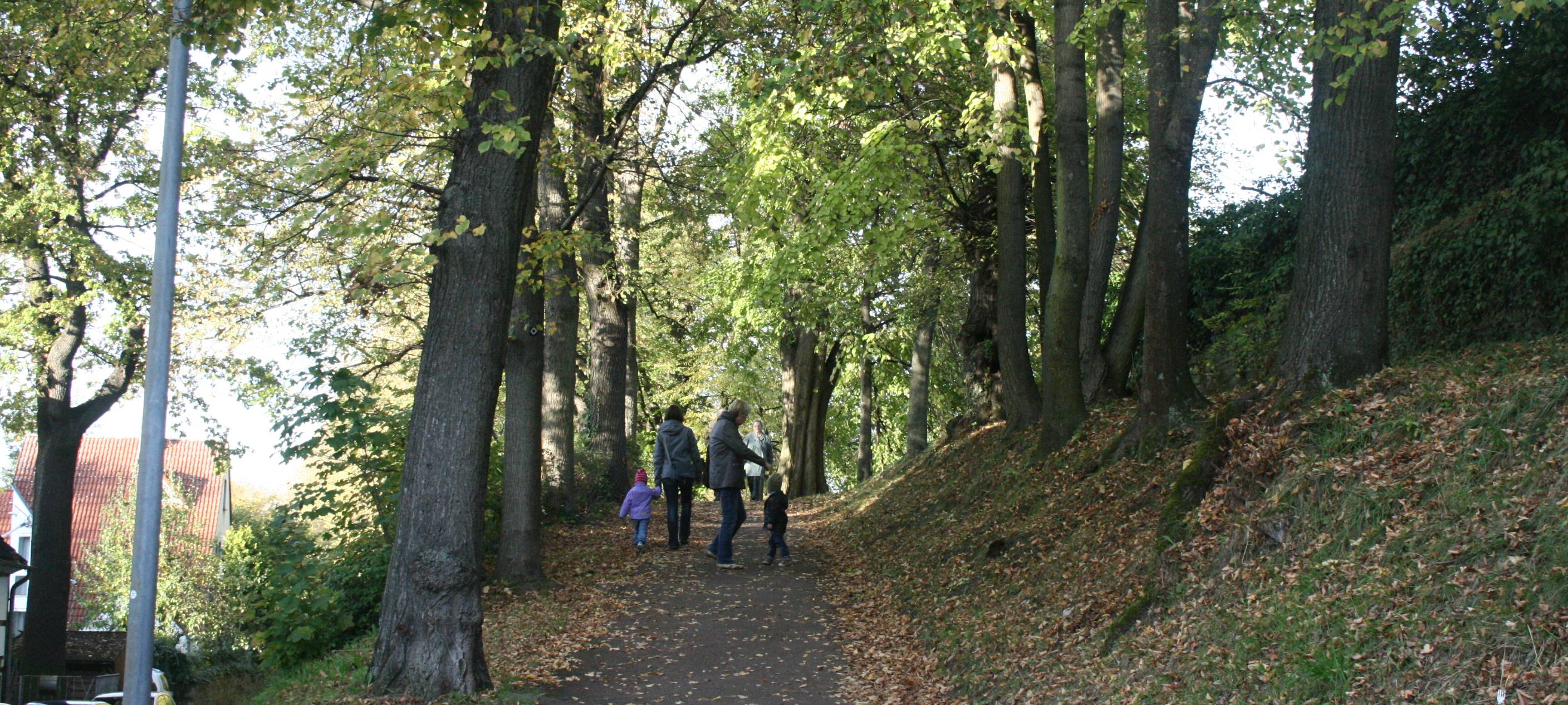 Abgelehnt: Soester Stadtrat gegen Baustopp am Wall