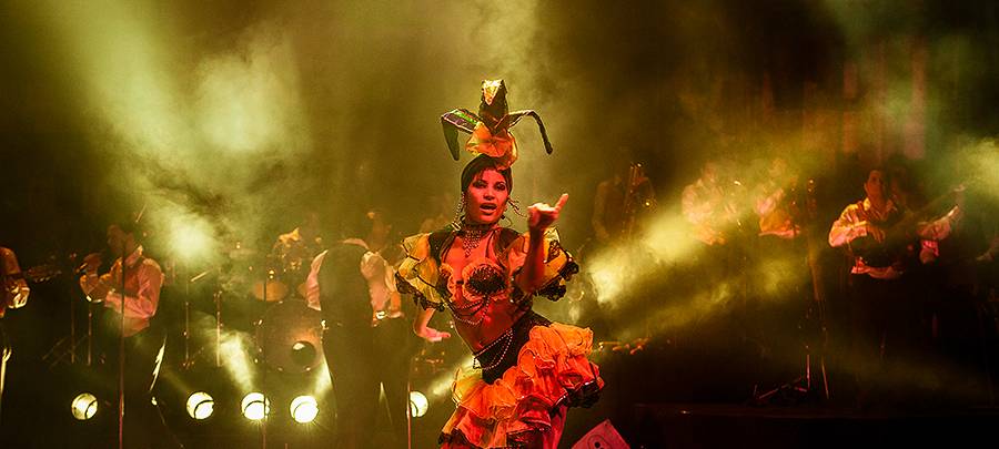 Pasión de Buena Vista