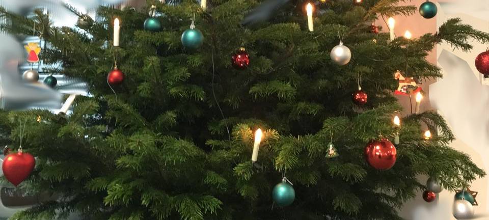 Weihnachtsbaum-Abholungen im Kreis Soest - Übersicht
