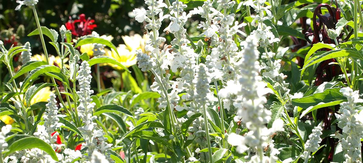 Veranstaltungen am Wochenende im Kreis Soest