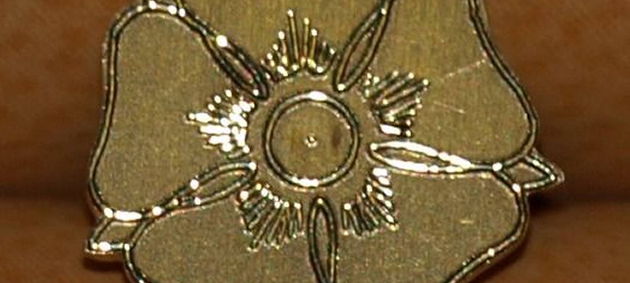 Lippstädter Rose: Stadt bittet um Vorschläge