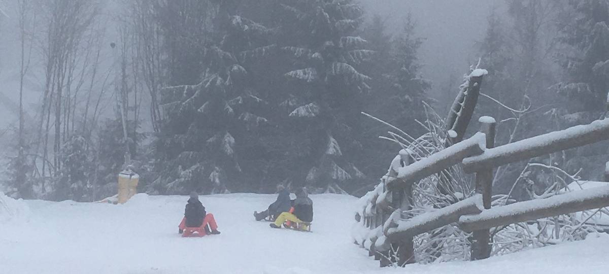 Kaum Schnee: Gibt es Alternativen für Rodelfans in NRW?