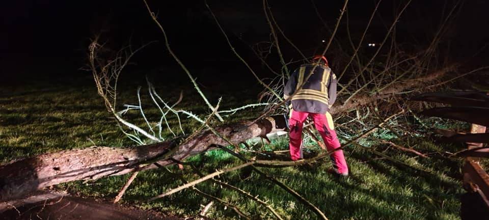 Update (15.11 Uhr) Orkantief Sabine im Kreis Soest - Sperrungen und Schulschließungen