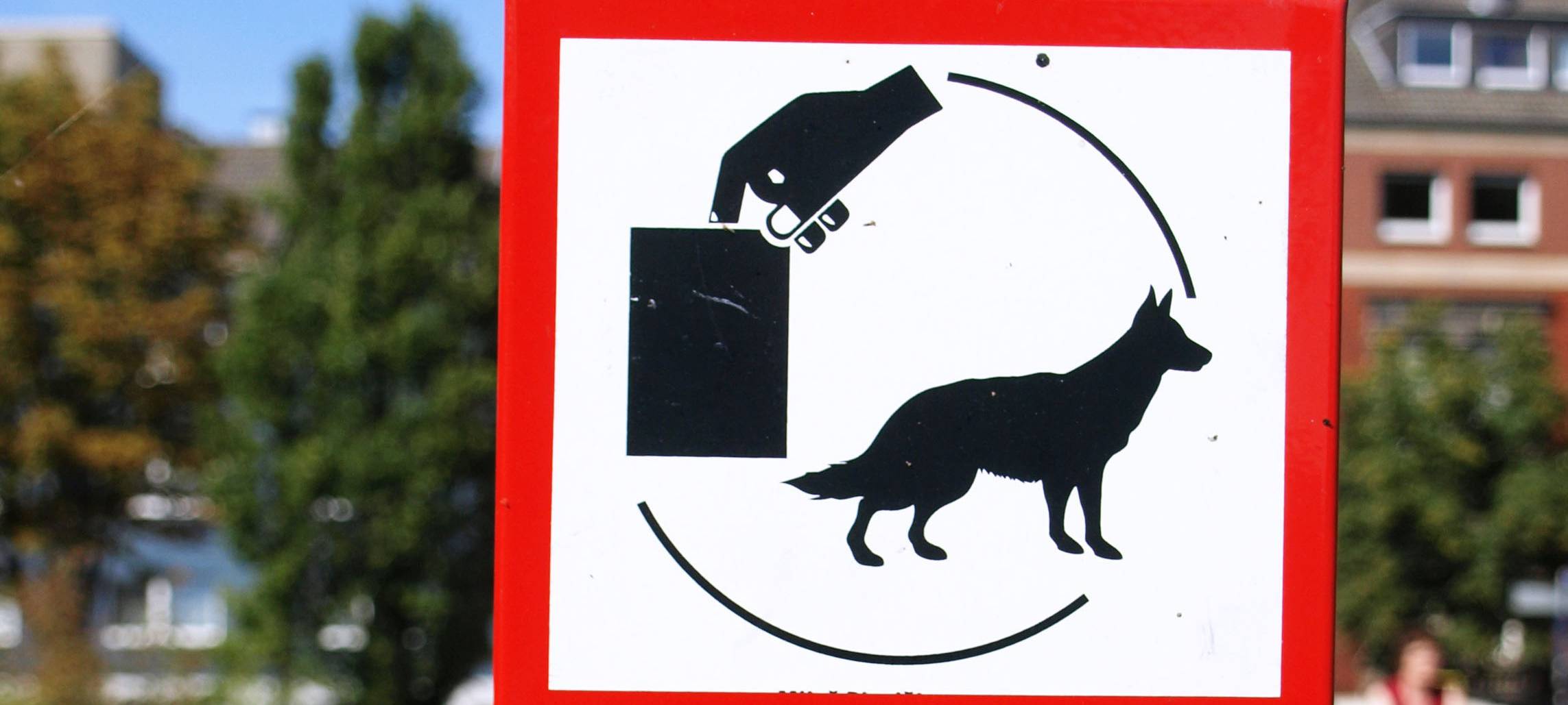 Hundekot auf Spielplätzen