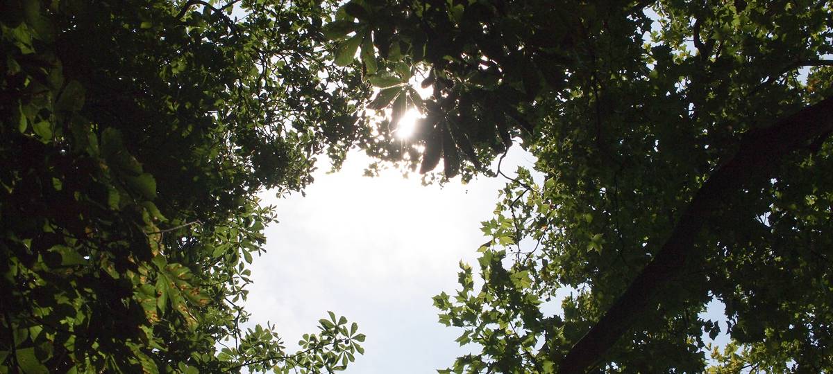 Messungen des DWD in Soest