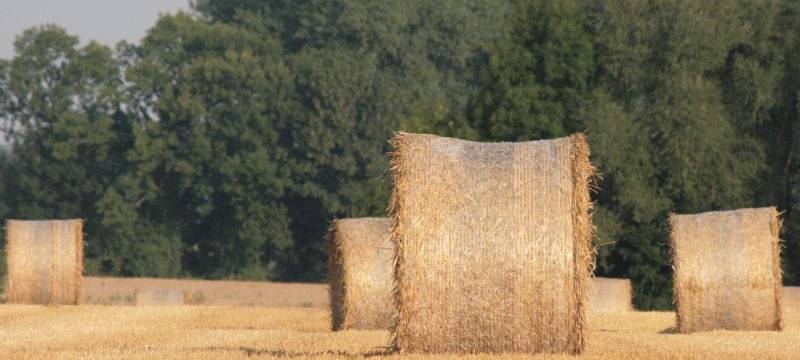 Unangenehmer Geruch in Ense und Wickede