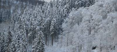 Vorsicht beim Spazierengehen