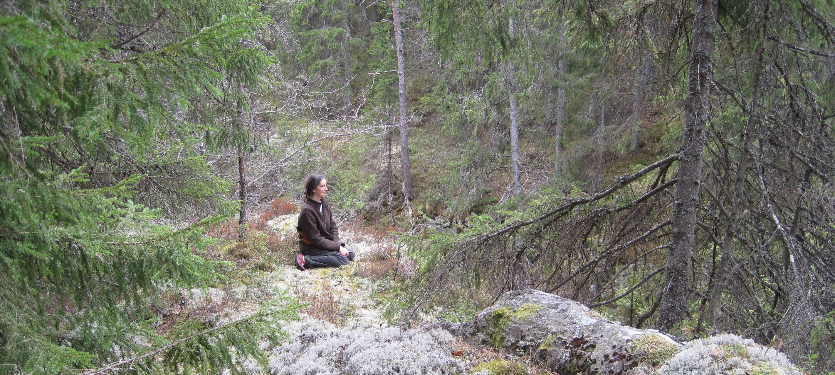 Wald der Sinne