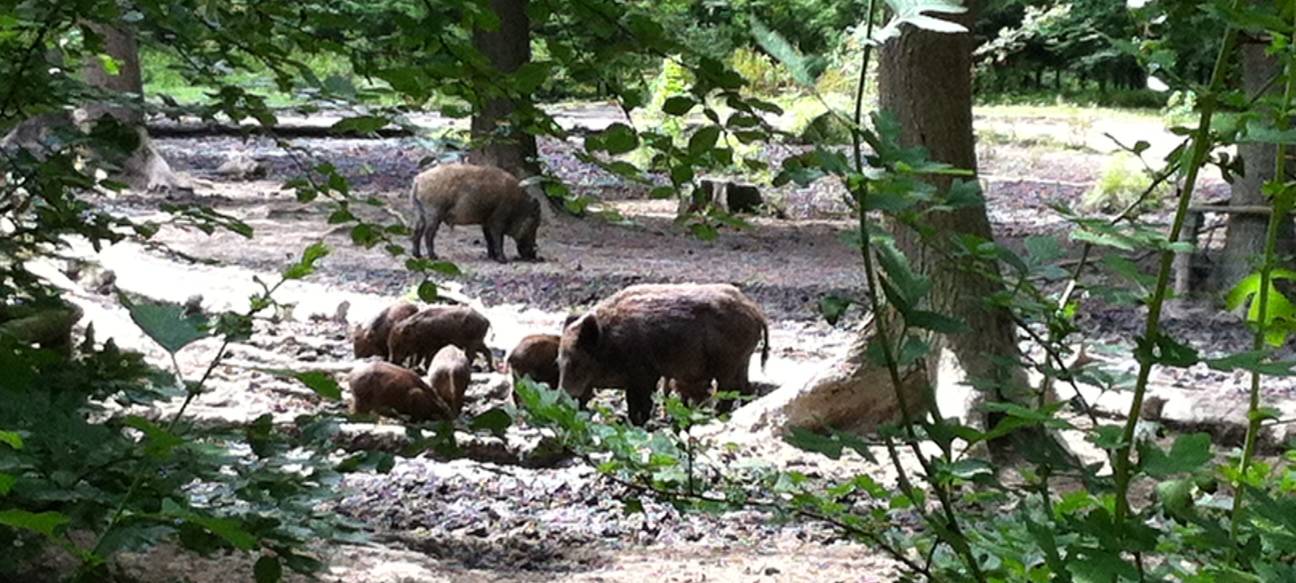 Urlaub zu Hause - wir machen Ferien im Kreis Soest