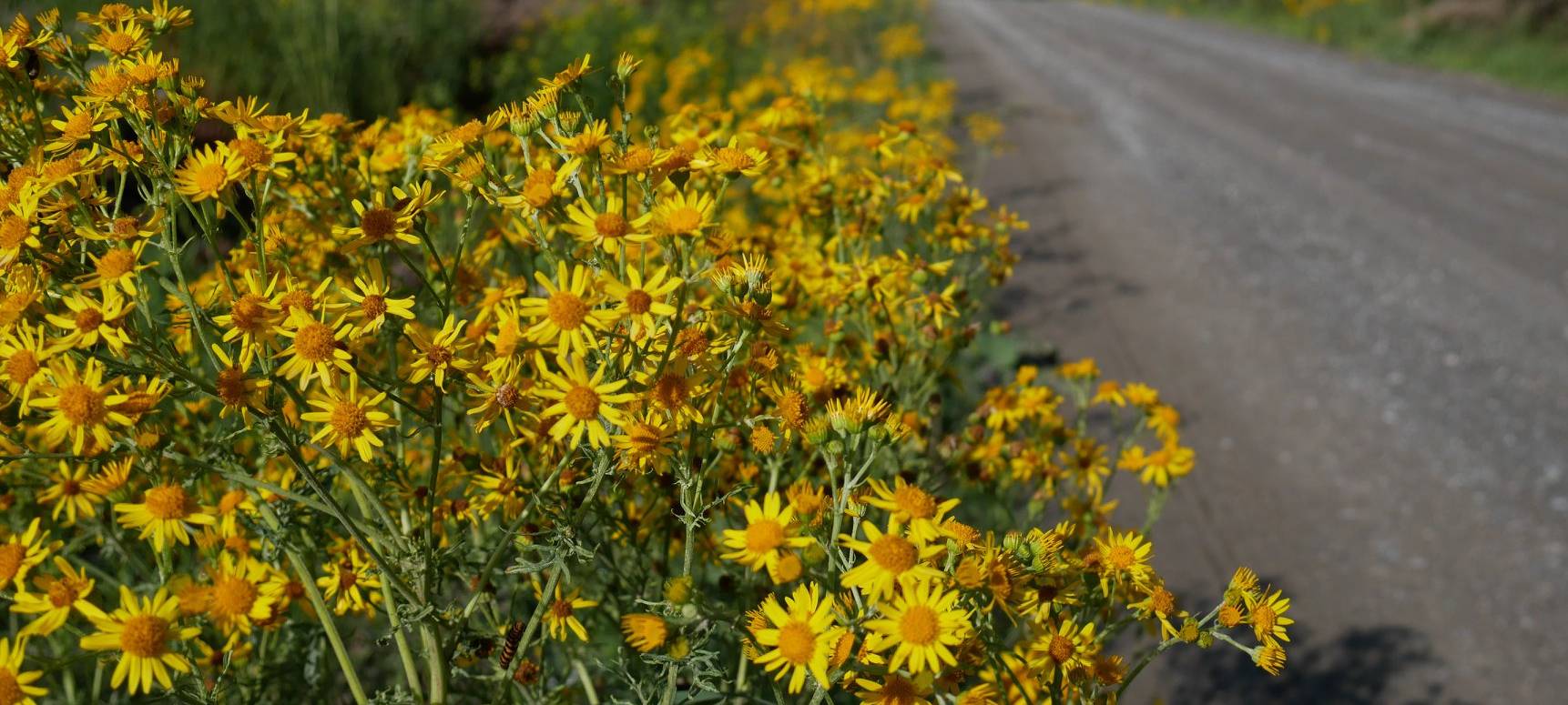 Regionalforstamt ist jetzt in Warstein