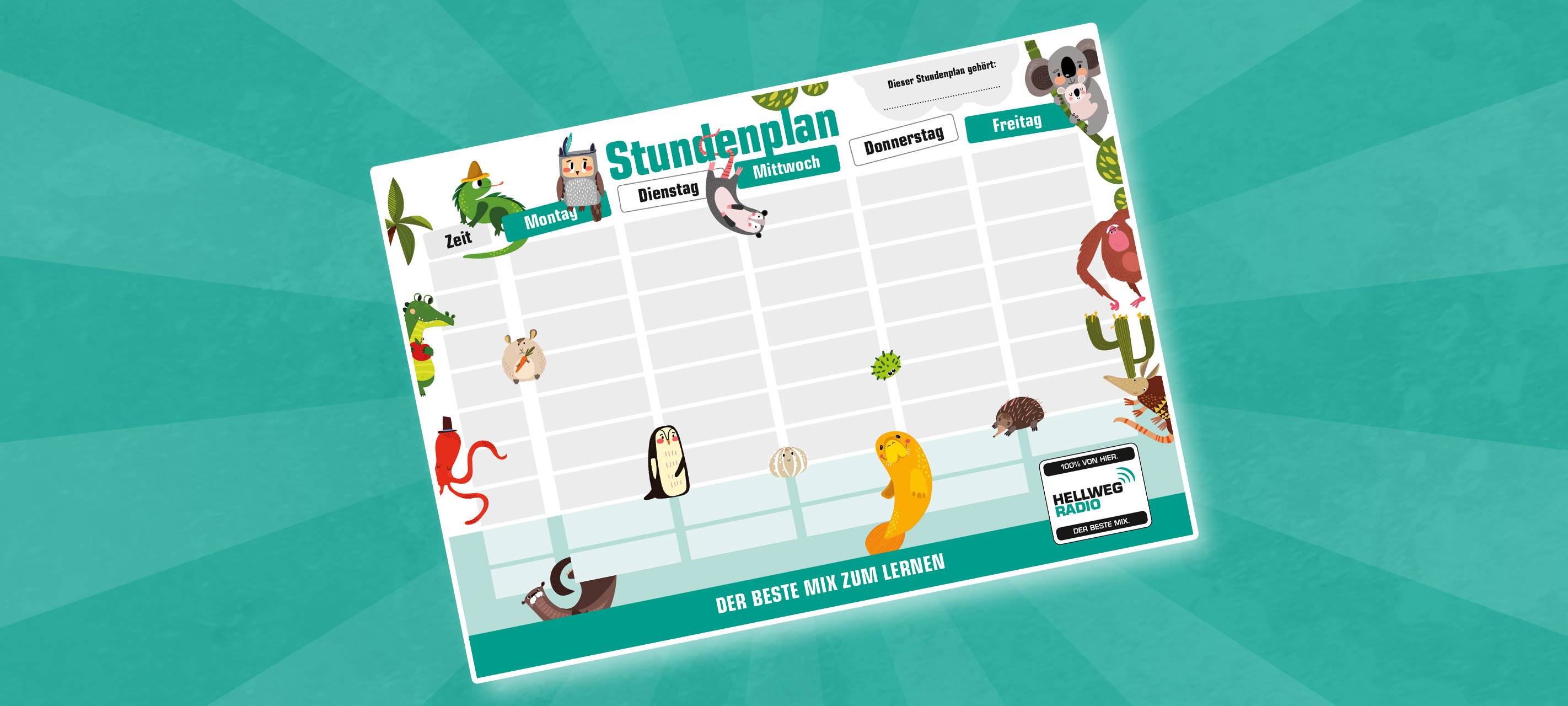 Service: Stundenplan zum Ausdrucken