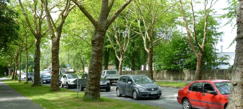 Neues Wohnviertel in Soest - heute Infoabend online