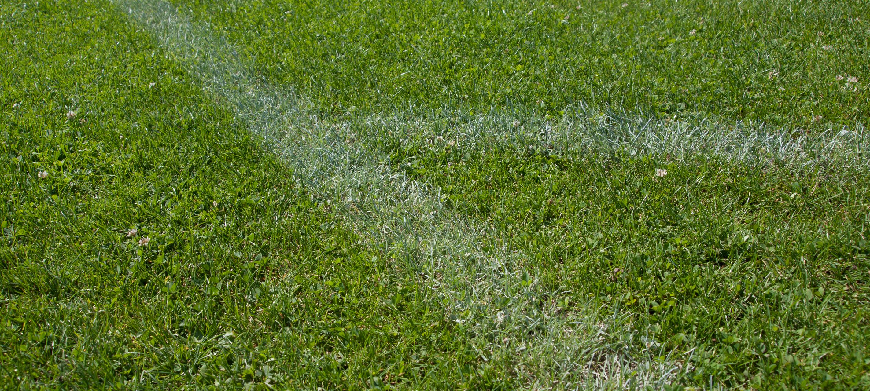 Eu will Mikroplastik verbieten