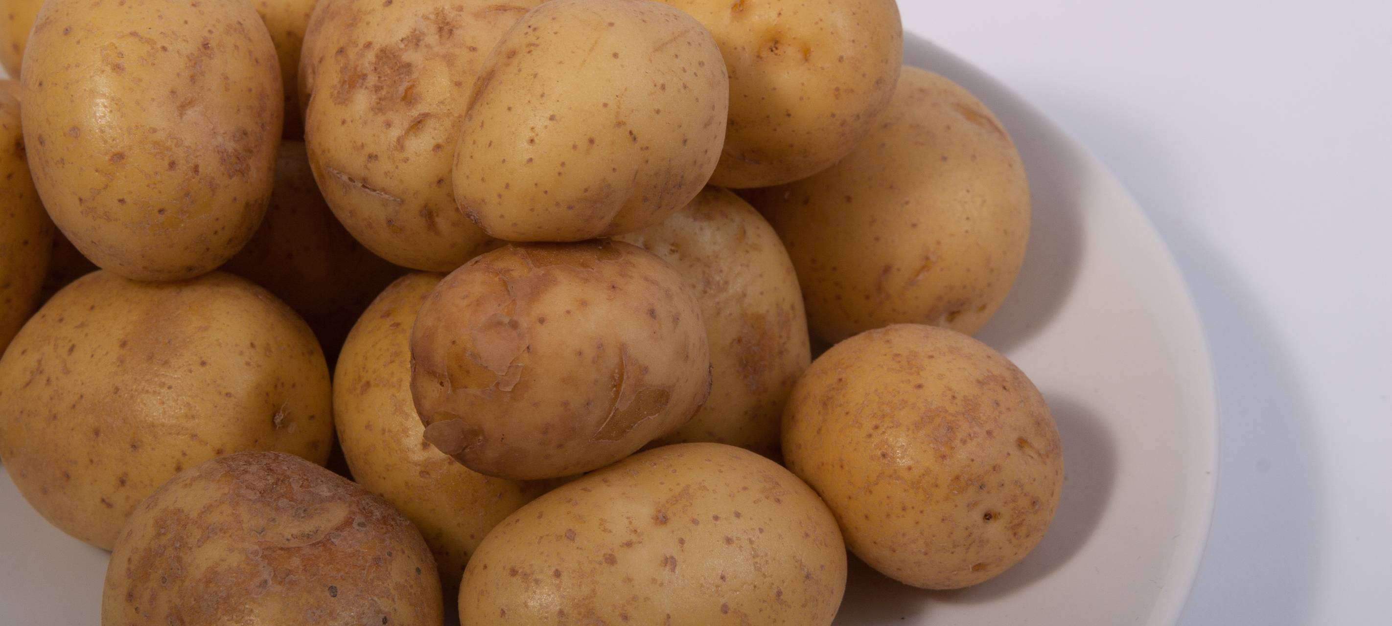 Westfälische Landeskirche verschenkt 300 Kartoffelsets