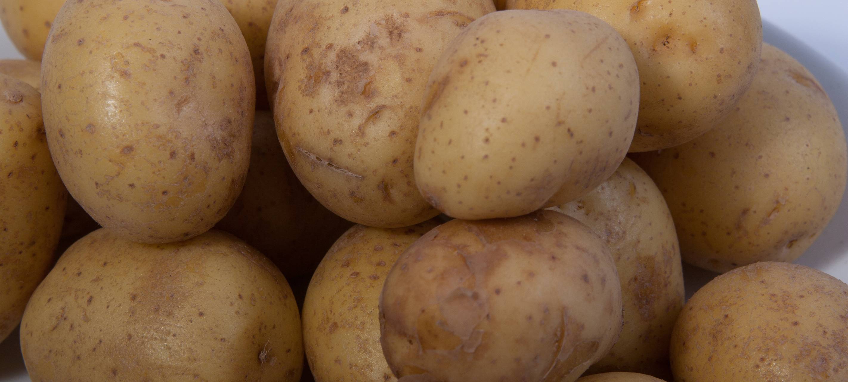 "Zusammen wachsen lassen" im Kreis Soest