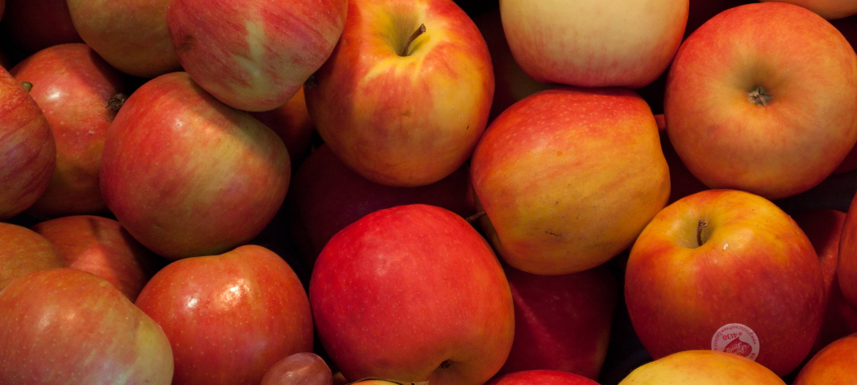 Apfelsaftaktion der Kinderhilfe Ense