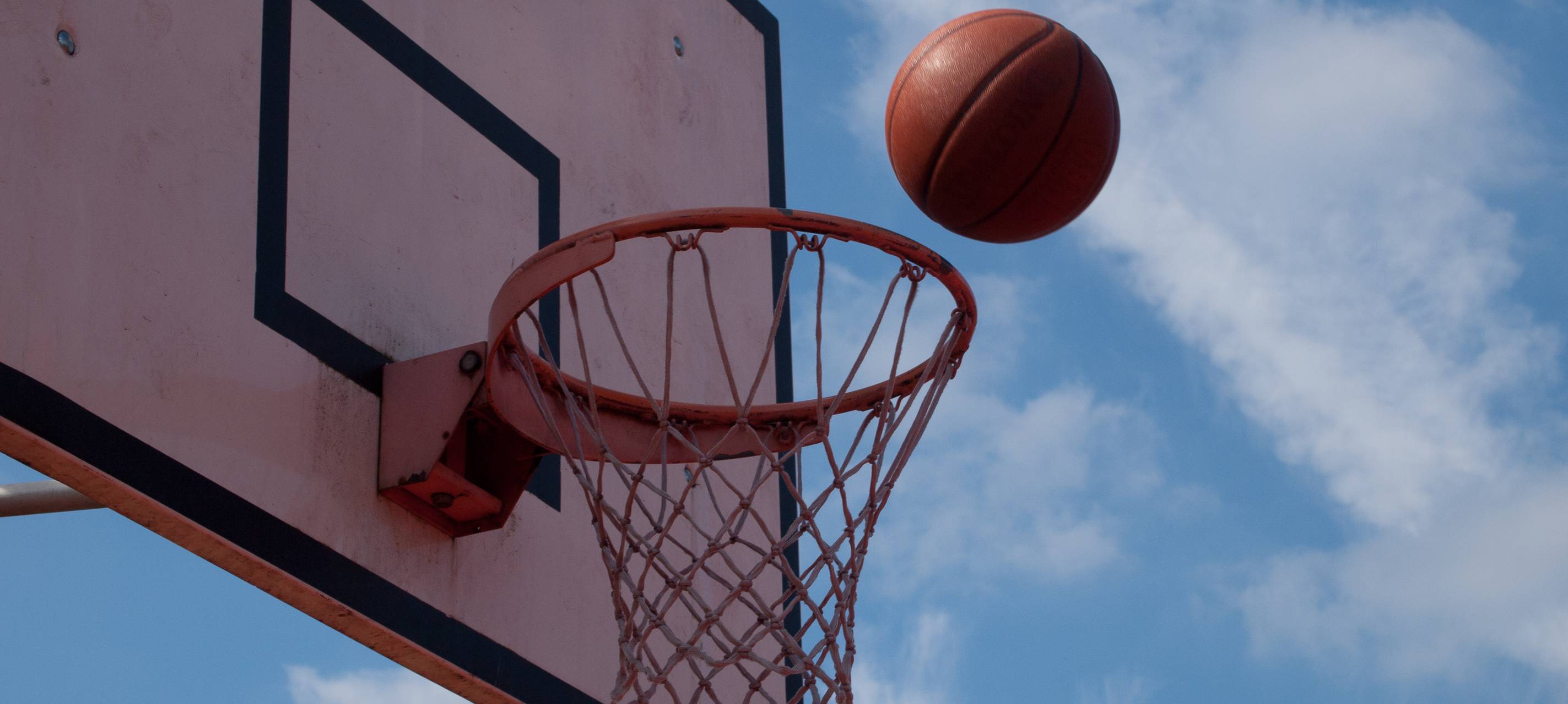 Neue Attraktion am Geseker Rabenfittich