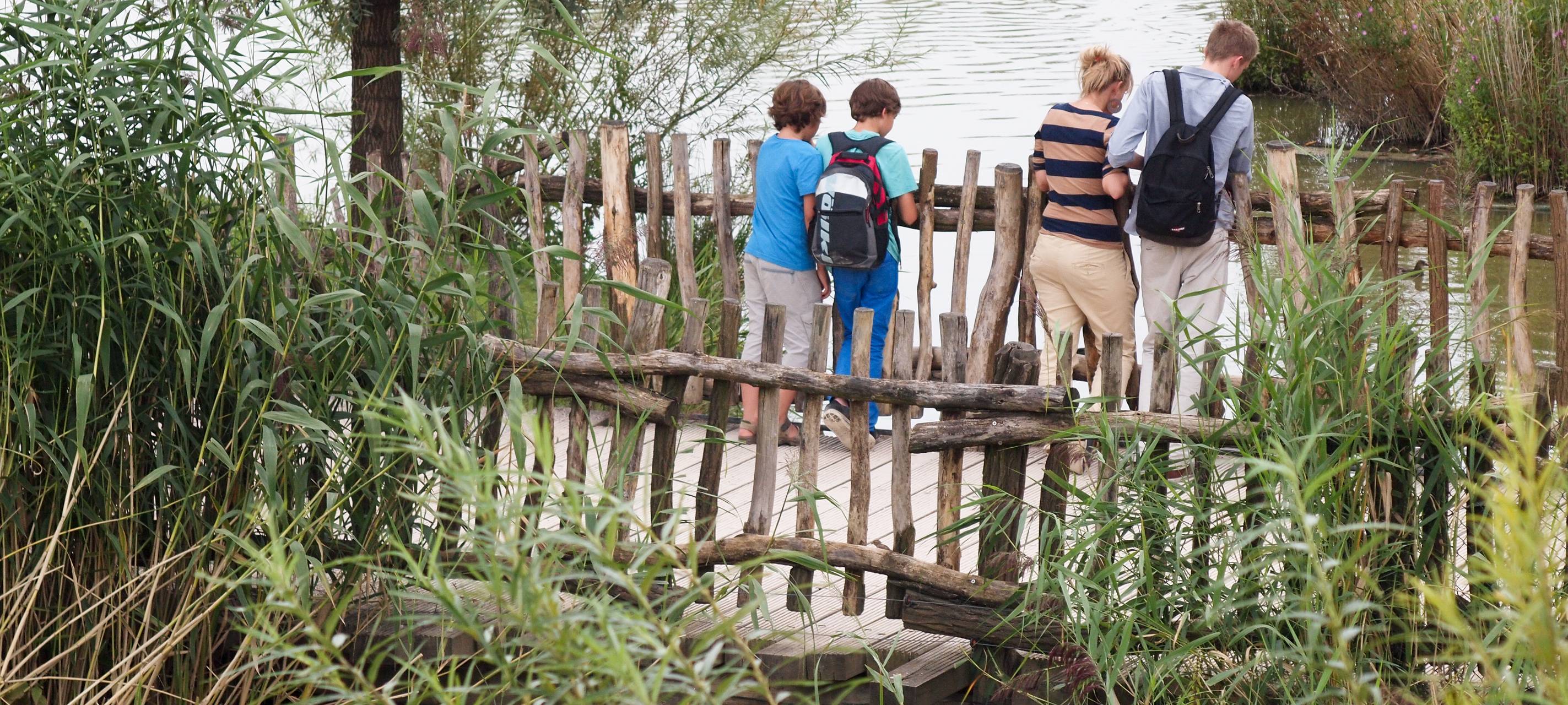 Barfußschuhe - Für wen sie sinnvoll sind