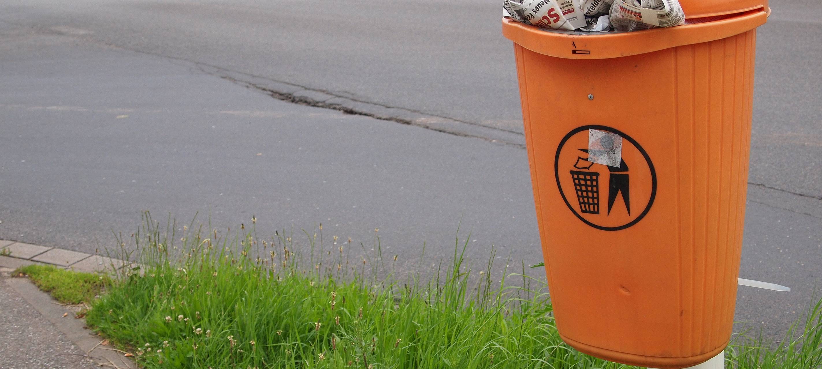 World Cleanup Day: Aktionen im Kreis Soest