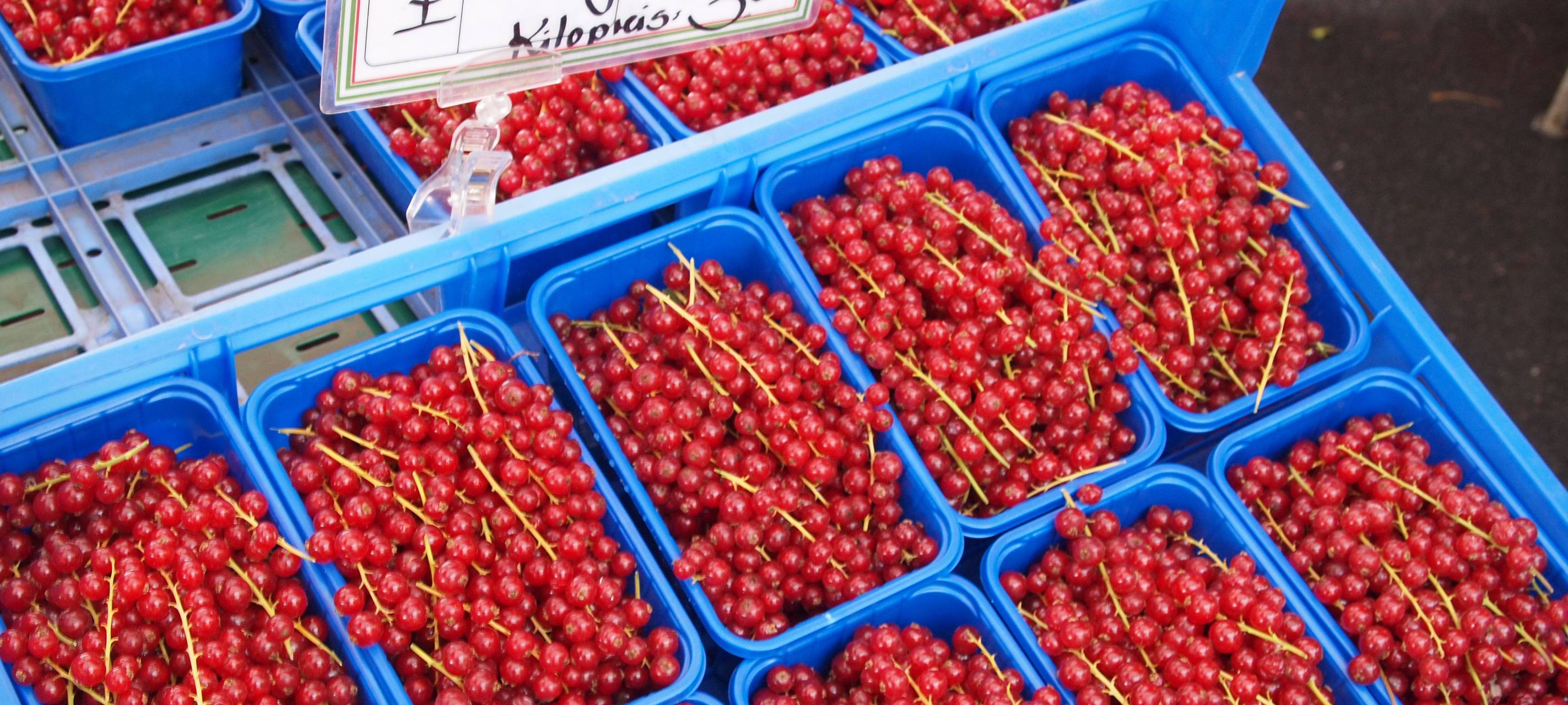 Frühlingsmärkte in Bad Waldliesborn und Hamm