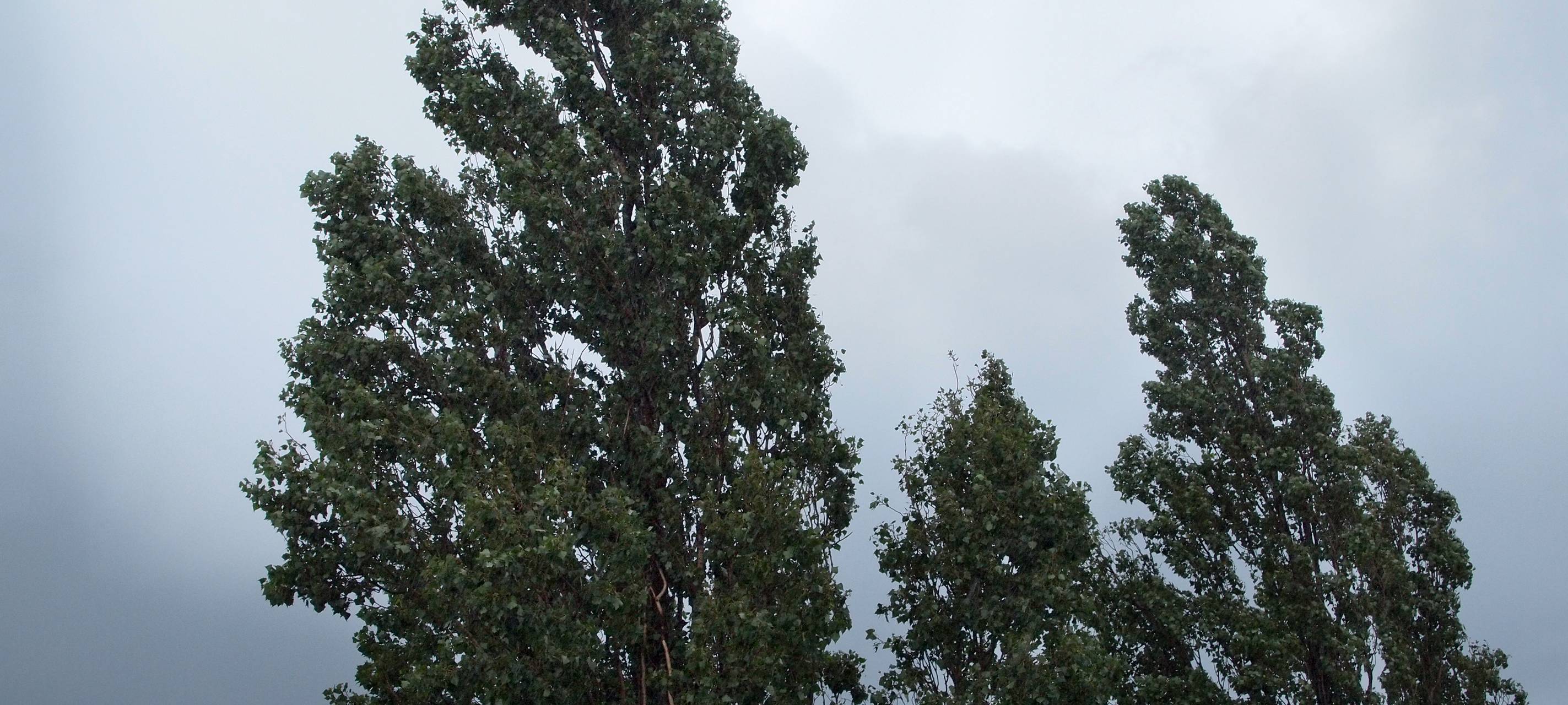 Unwetter trifft Teile des Kreises Soest