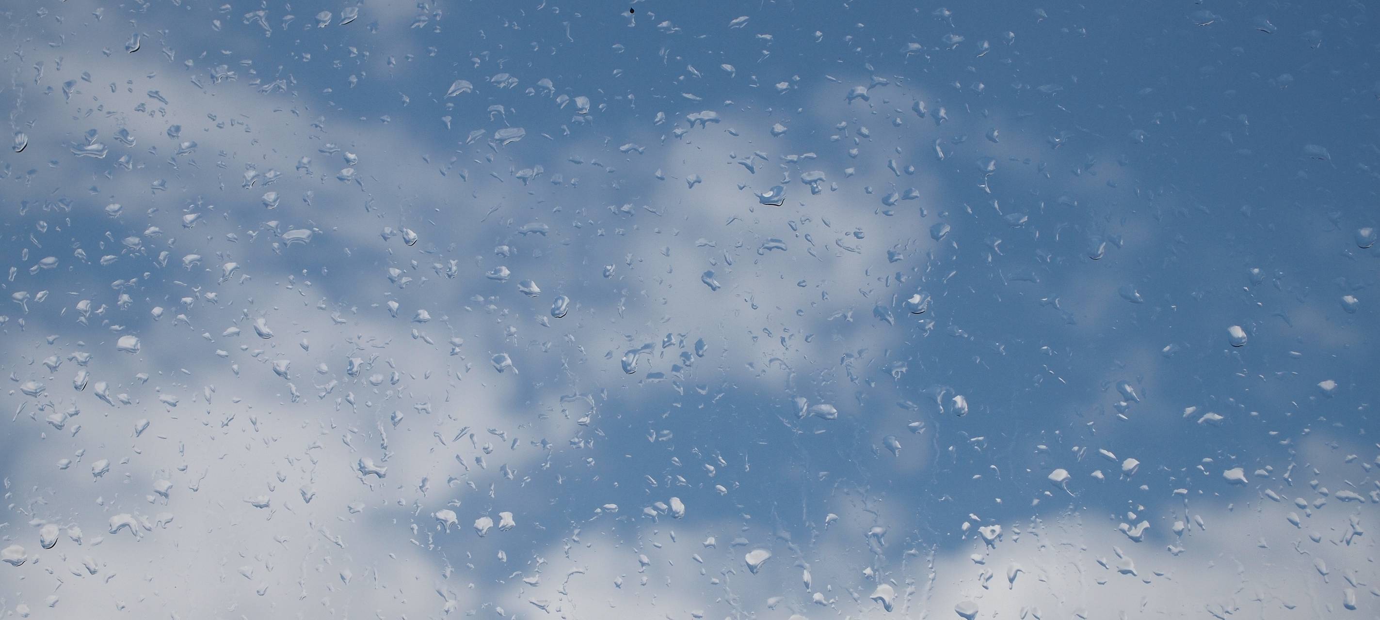 Kreis Soest: Frühlingsbilanz der Landwirte