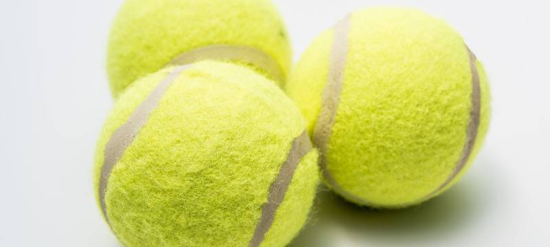 Erwitte Open starten