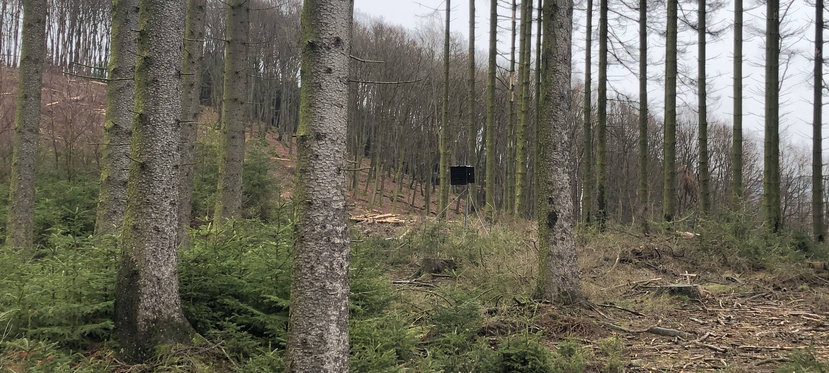 Das Regionalforstamt-Soest Sauerland zieht nach Warstein