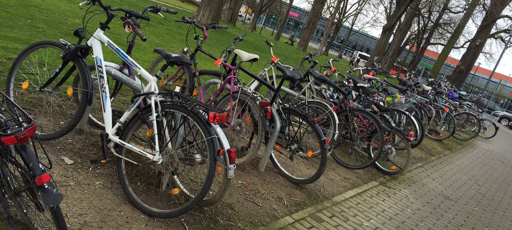 FahrradbesitzerIn in Soest gesucht