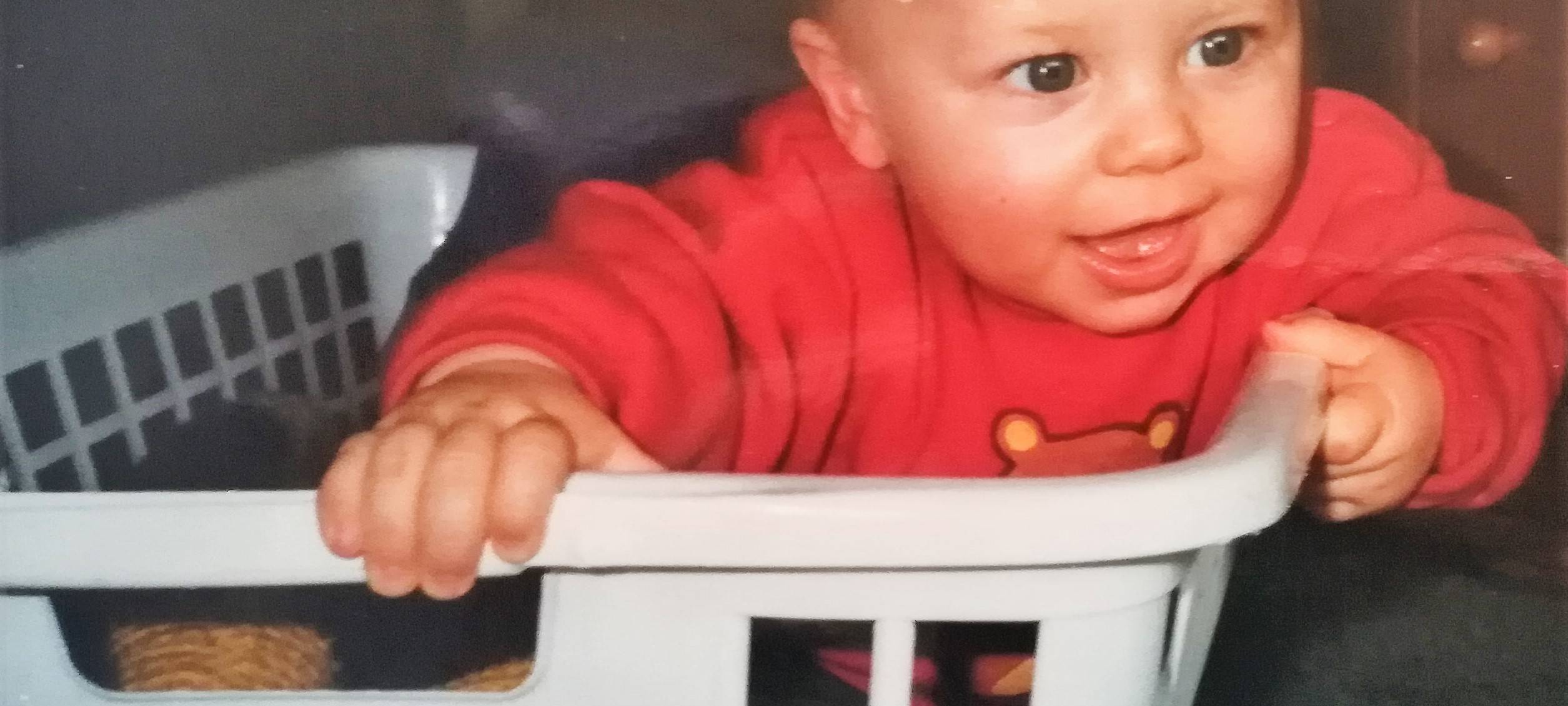 Robert Helle (Die Linke)